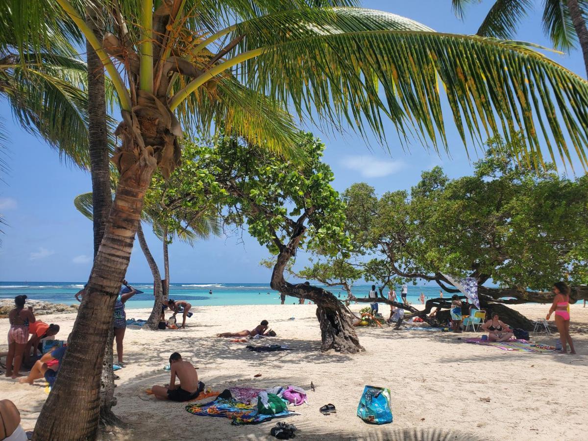 Villa L'Anjou Creole A Sainte Anne En Guadeloupe Avec Piscine Privee Et 2 Chambres Pour 4 Personnes Buitenkant foto