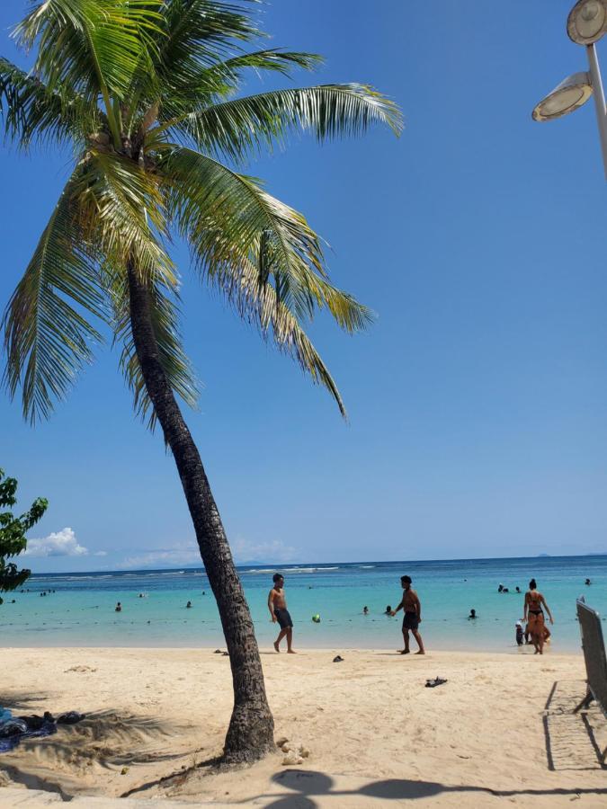Villa L'Anjou Creole A Sainte Anne En Guadeloupe Avec Piscine Privee Et 2 Chambres Pour 4 Personnes Buitenkant foto