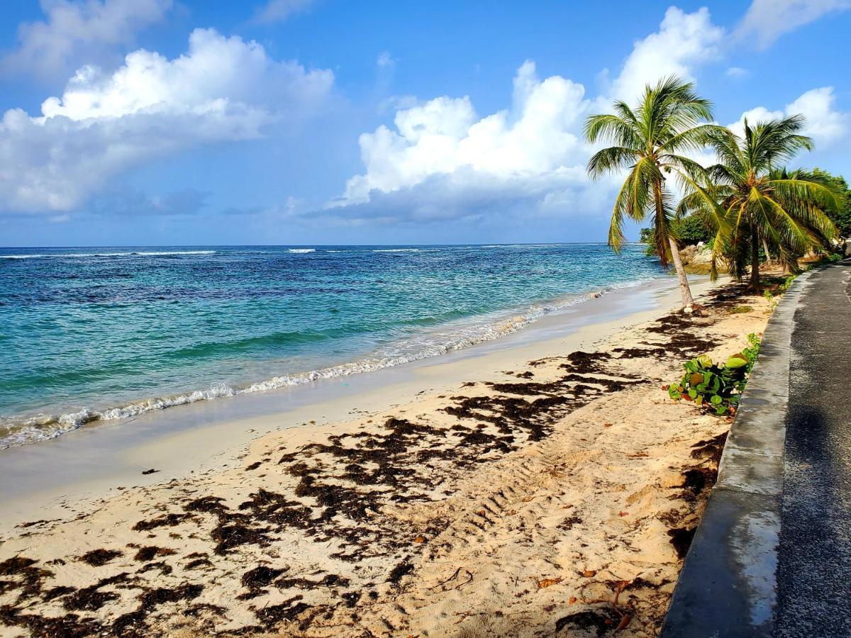 Villa L'Anjou Creole A Sainte Anne En Guadeloupe Avec Piscine Privee Et 2 Chambres Pour 4 Personnes Buitenkant foto