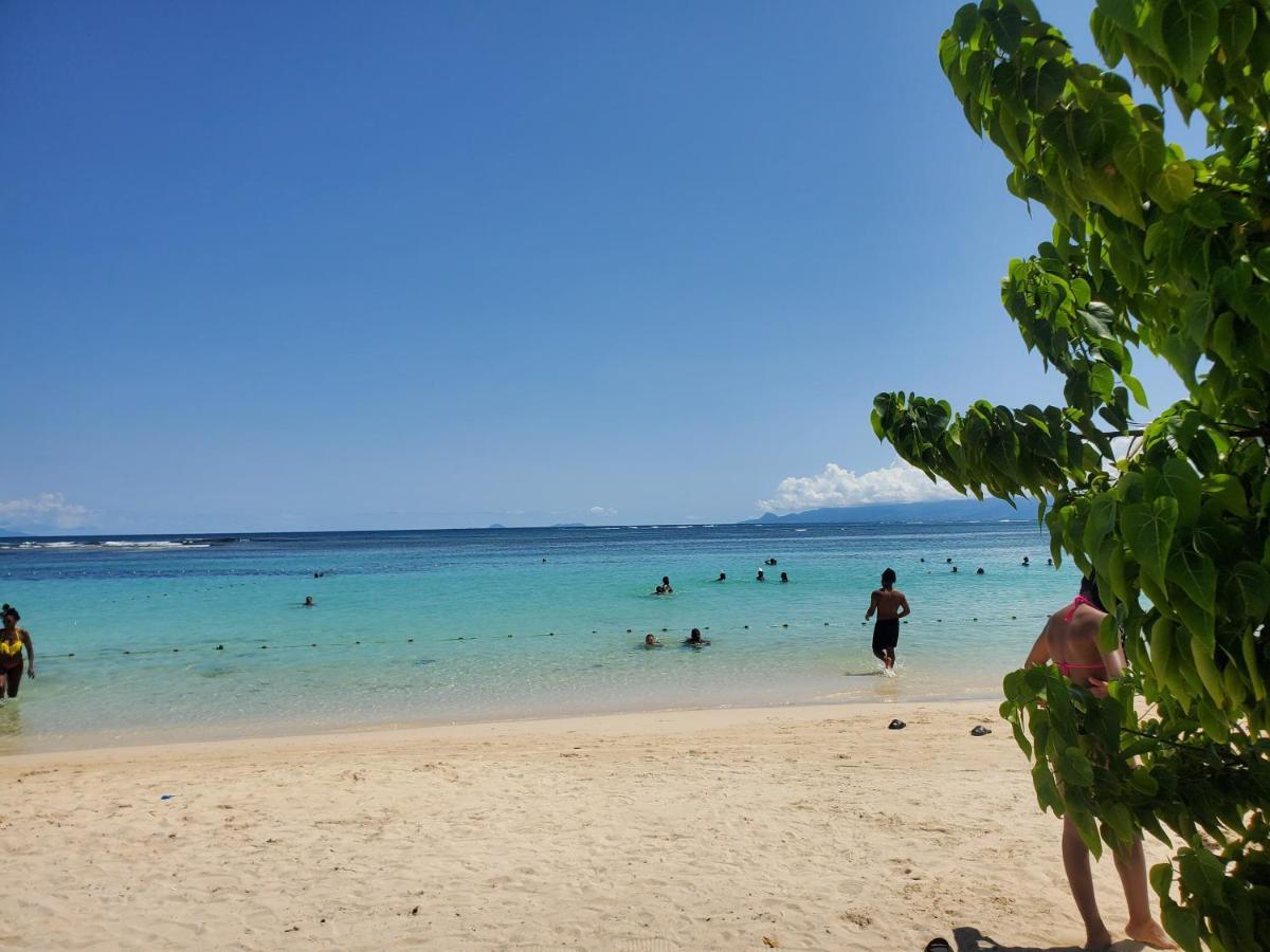 Villa L'Anjou Creole A Sainte Anne En Guadeloupe Avec Piscine Privee Et 2 Chambres Pour 4 Personnes Buitenkant foto