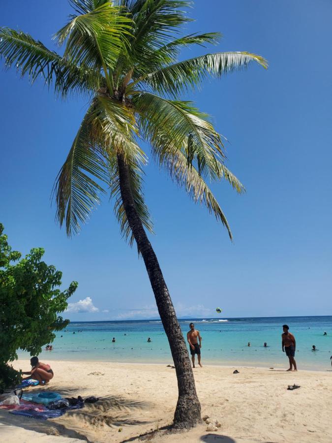Villa L'Anjou Creole A Sainte Anne En Guadeloupe Avec Piscine Privee Et 2 Chambres Pour 4 Personnes Buitenkant foto