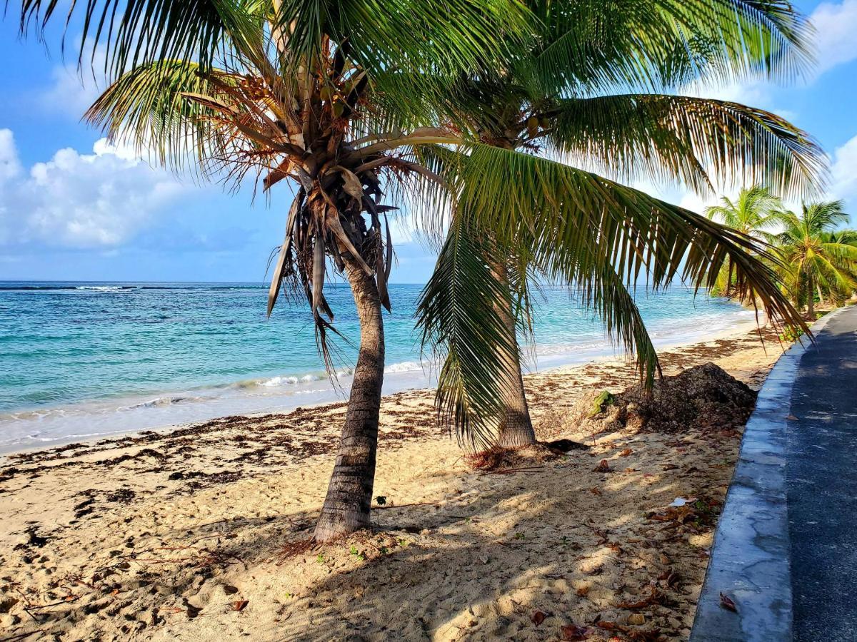 Villa L'Anjou Creole A Sainte Anne En Guadeloupe Avec Piscine Privee Et 2 Chambres Pour 4 Personnes Buitenkant foto