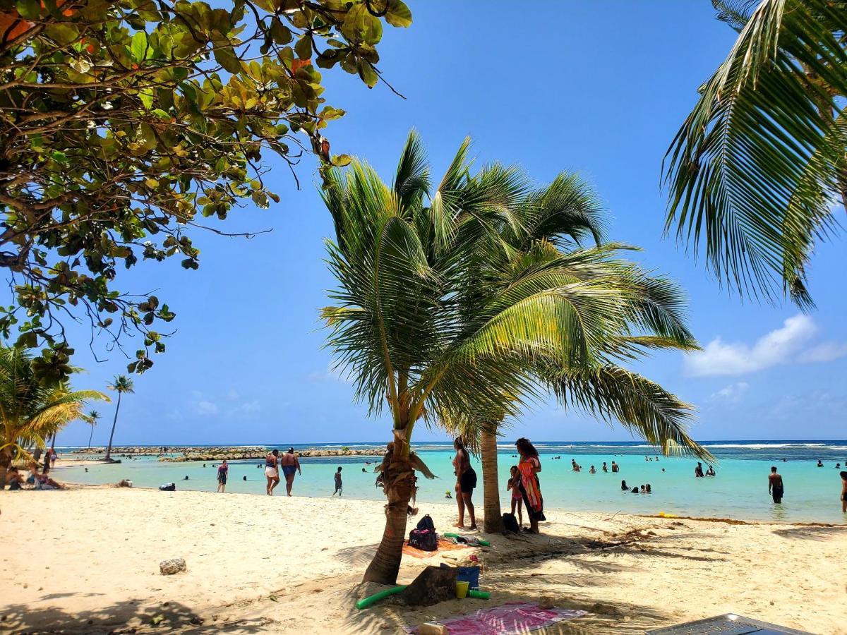 Villa L'Anjou Creole A Sainte Anne En Guadeloupe Avec Piscine Privee Et 2 Chambres Pour 4 Personnes Buitenkant foto