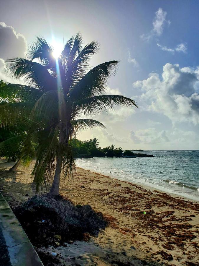 Villa L'Anjou Creole A Sainte Anne En Guadeloupe Avec Piscine Privee Et 2 Chambres Pour 4 Personnes Buitenkant foto