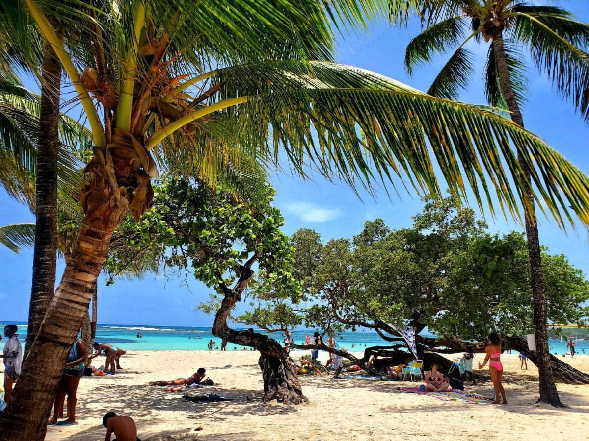 Villa L'Anjou Creole A Sainte Anne En Guadeloupe Avec Piscine Privee Et 2 Chambres Pour 4 Personnes Buitenkant foto