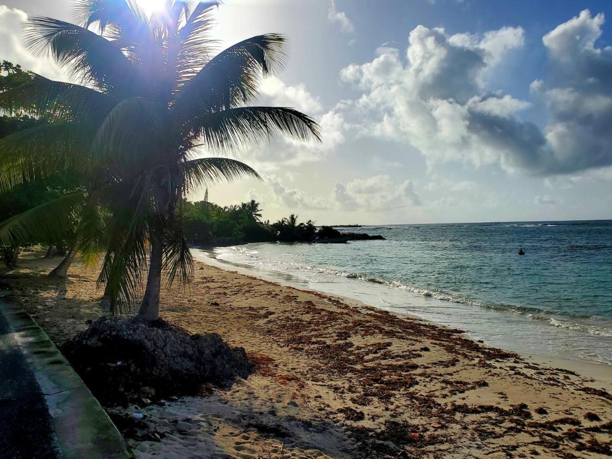 Villa L'Anjou Creole A Sainte Anne En Guadeloupe Avec Piscine Privee Et 2 Chambres Pour 4 Personnes Buitenkant foto