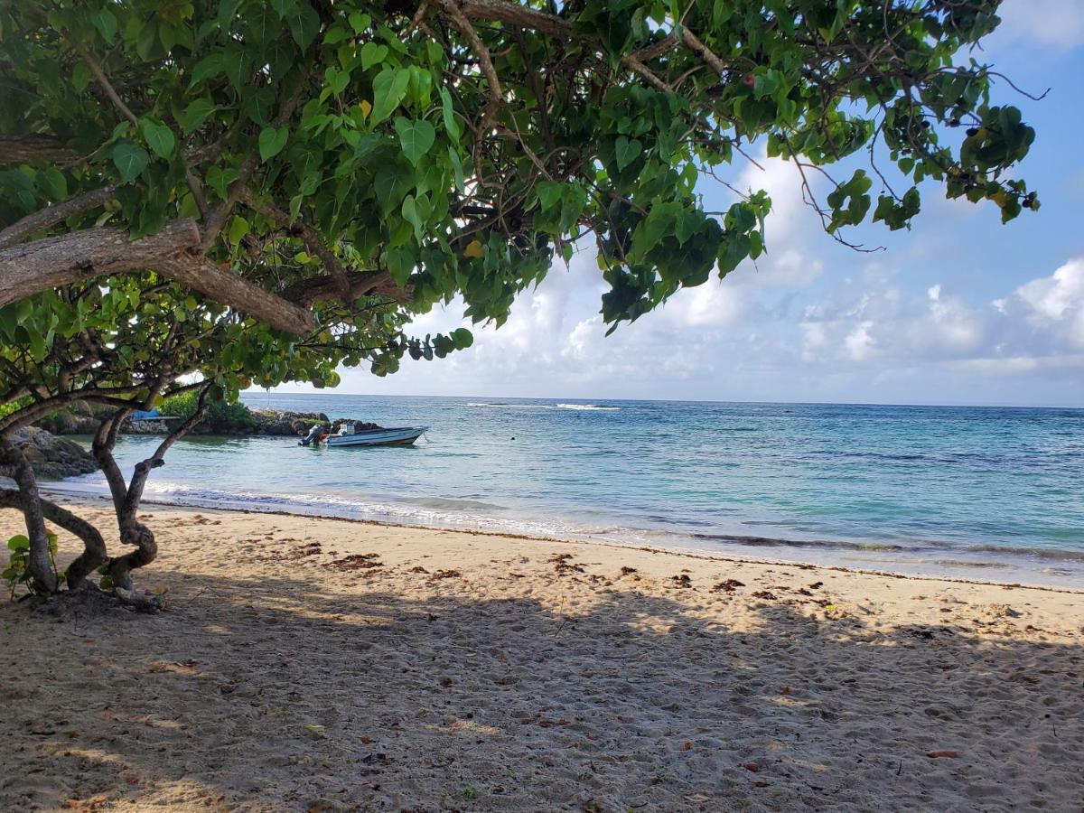 Villa L'Anjou Creole A Sainte Anne En Guadeloupe Avec Piscine Privee Et 2 Chambres Pour 4 Personnes Buitenkant foto