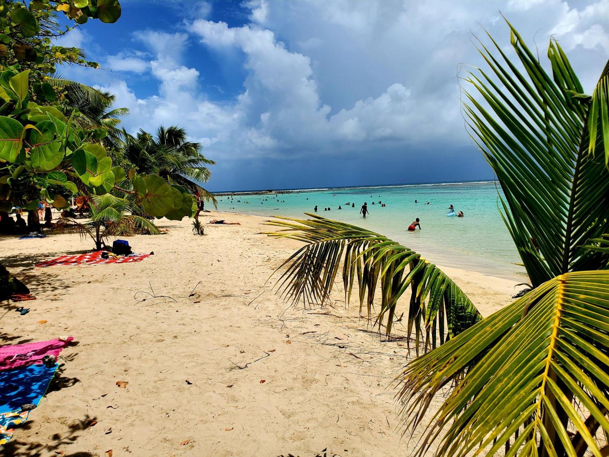 Villa L'Anjou Creole A Sainte Anne En Guadeloupe Avec Piscine Privee Et 2 Chambres Pour 4 Personnes Buitenkant foto
